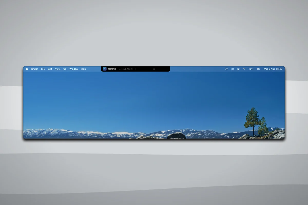 Notch — The chip, and the display it takes a strip of